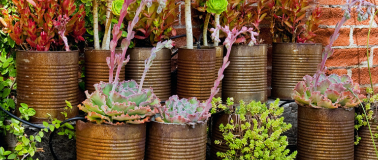 Here are three easy activities to get started with a new garden
