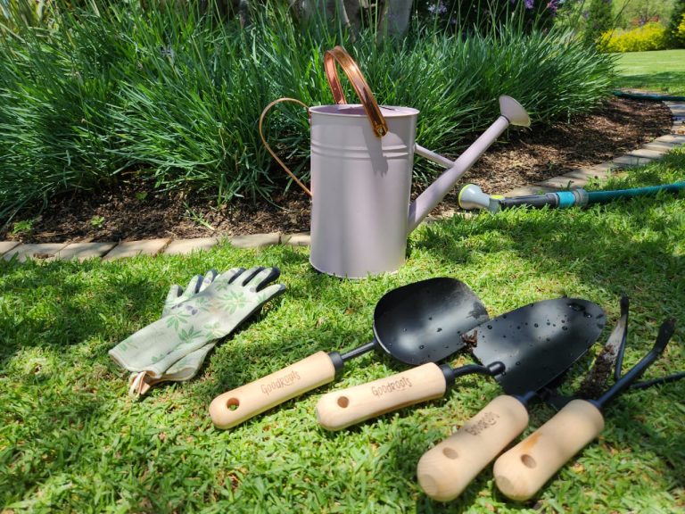 Starting a Garden: Tips for Beginners