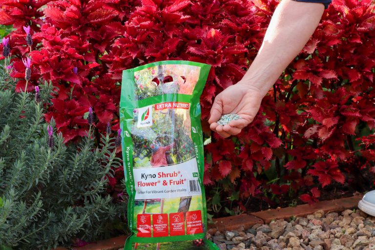 Preparing your garden for the cooler months