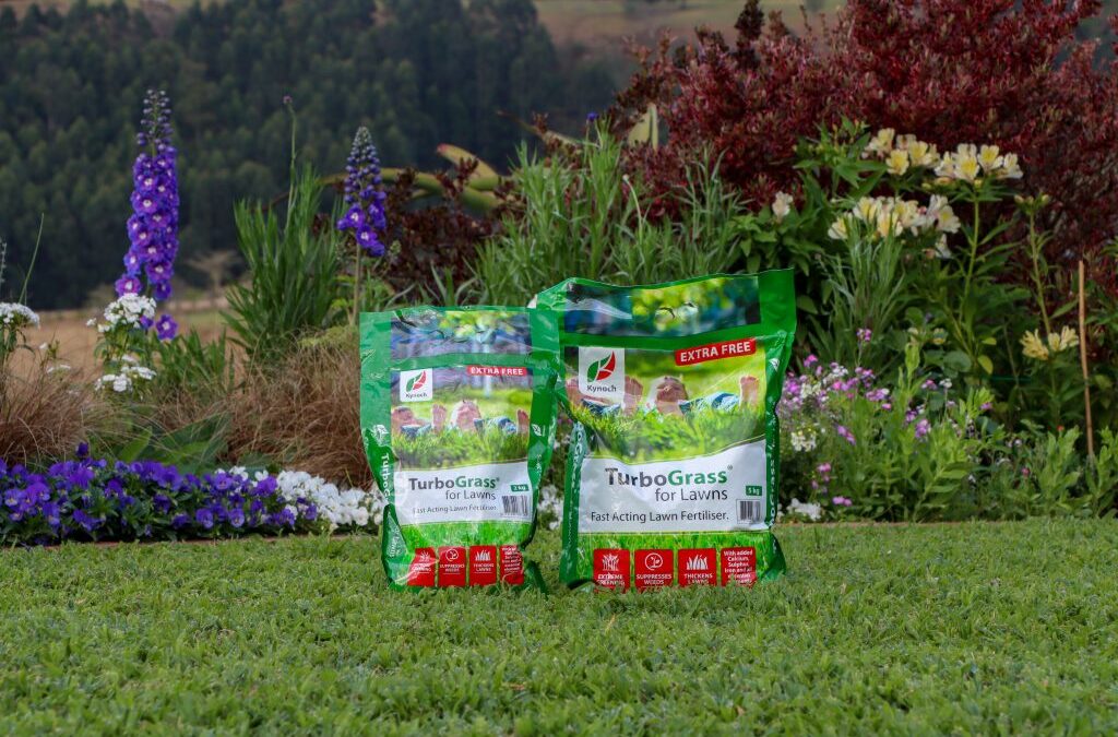 Lawn Disorders Commonly Found During Autumn
