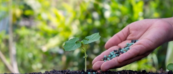 Unleash the Power of NPK, Micronutrients, and Trace Elements for a Thriving Garden!