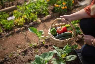 Bountiful Harvest: Making the Most of Your April Garden Produce