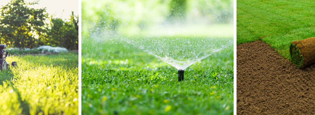 April Lawn Care Tips for KZN