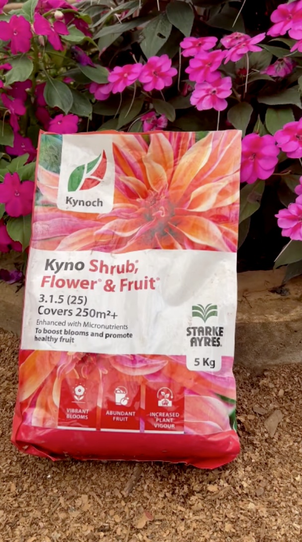 Vibrant Blooms & Abundant Fruit with KynoShrub Flower & Fruit