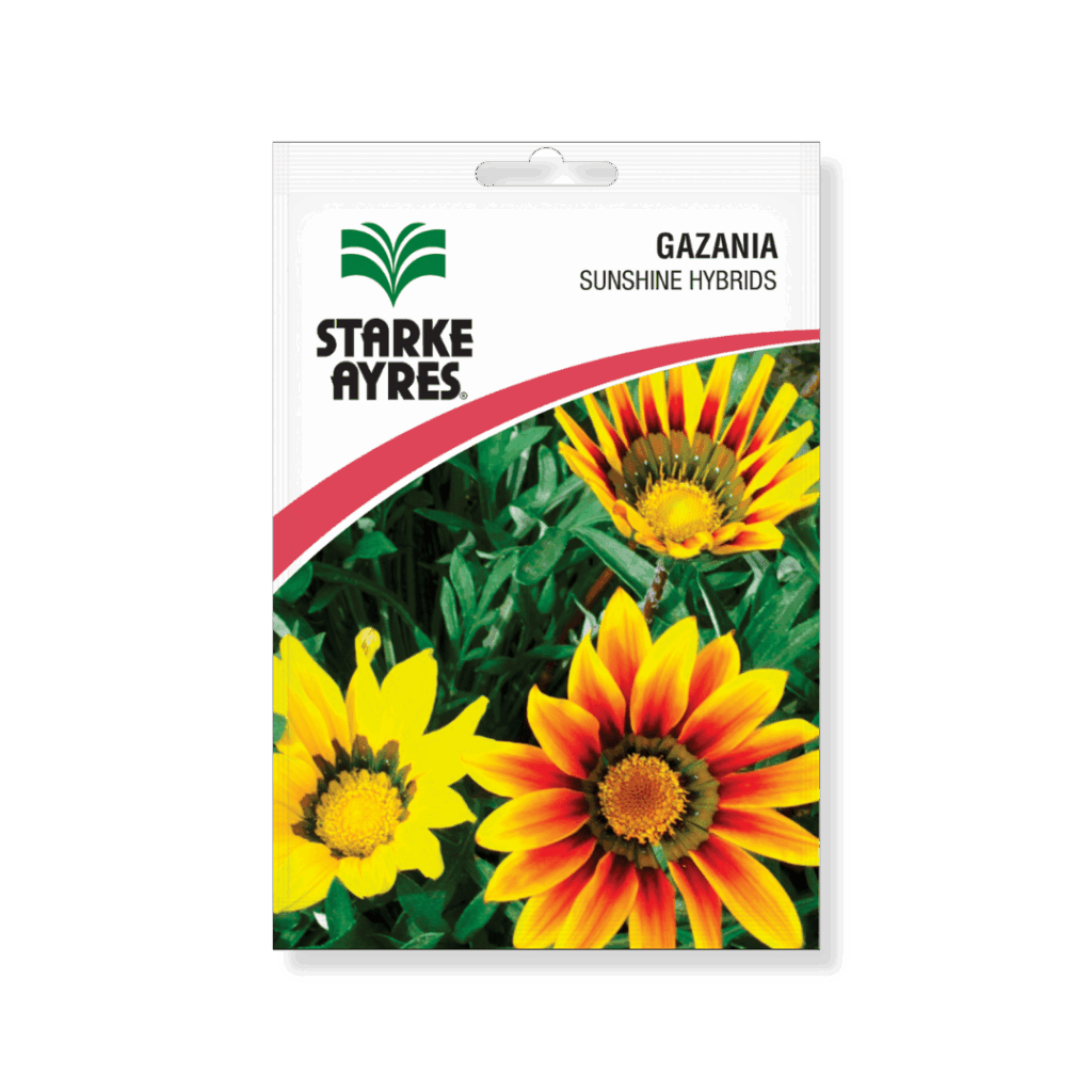 Starke Ayres Gazania Sunshine Hybrids Seeds