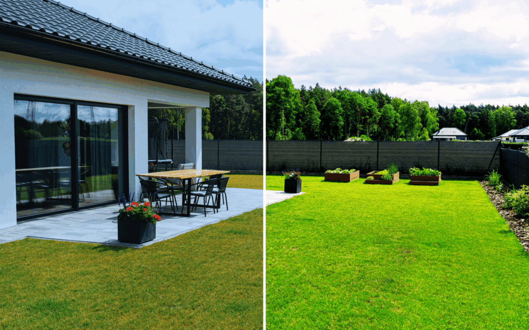How to Revive Your Gauteng Lawn This August