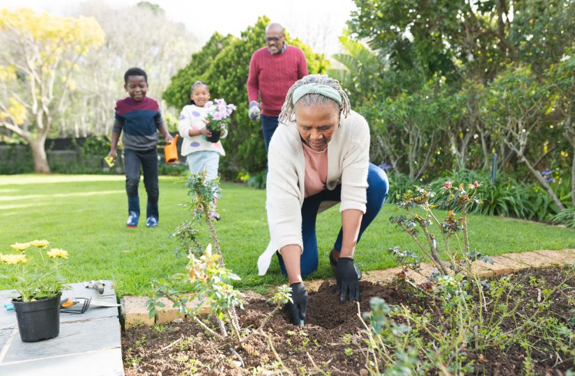 Western Cape Garden Guide: Transitioning from Wet Winter to Dry Summer