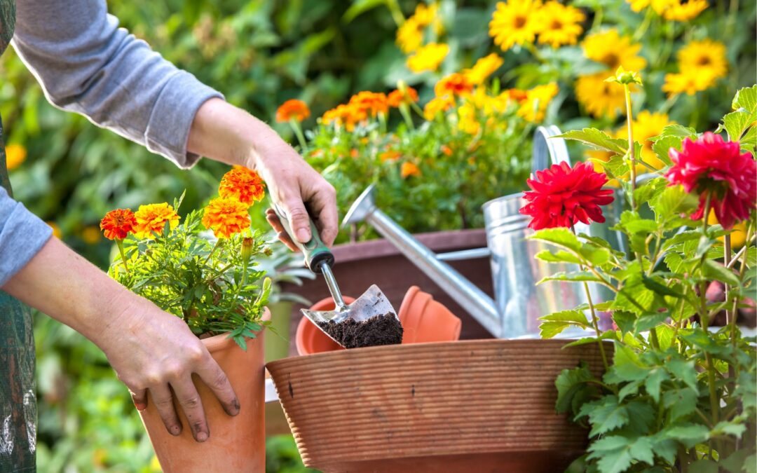 October Garden Kick‑Off: What to Plant & Feed Now