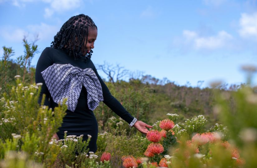 Indigenous Spring Blooms: Fynbos & Bulbs to Plant in October