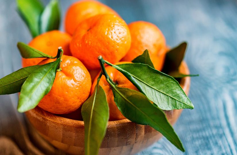 Naartjie: South Africa’s Beloved Citrus – Heritage & Easy Jam Recipe